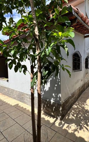 Casa para alugar com 200m², 3 quartos e 3 vagas