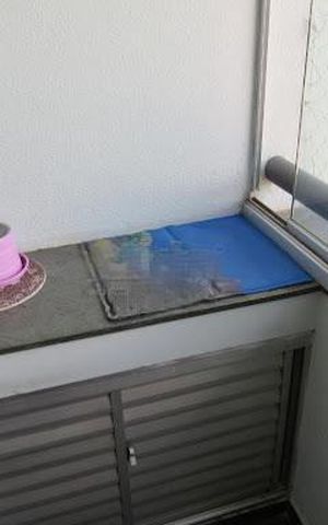 Apartamento à venda com 64m², 3 quartos e 1 vaga