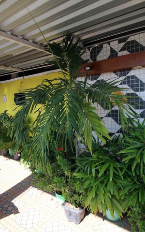 Casa à venda com 150m², 2 quartos e sem vagaTerraço