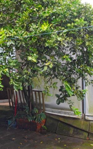 Casa à venda com 54m², 3 quartos e 1 vaga Casa à venda com 54m², 3 quartos e 1 vagaQuintal fundos