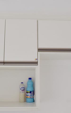 Apartamento para alugar com 55m², 2 quartos e 1 vagaCozinha - Armários