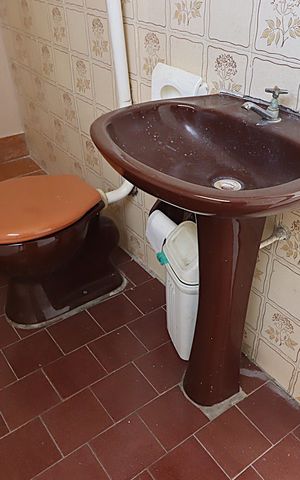Apartamento à venda com 66m², 2 quartos e 1 vagaBanheiro