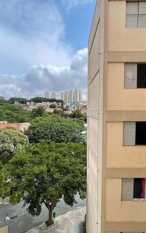 Apartamento para alugar com 67m², 3 quartos e 1 vagaVista do Quarto 1