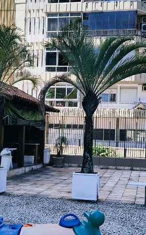 Apartamento para alugar com 120m², 3 quartos e 1 vaga Apartamento para alugar com 120m², 3 quartos e 1 vagaÁrea externa