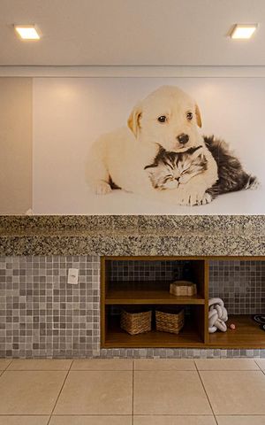 Apartamento à venda com 32m², 2 quartos e sem vaga Apartamento à venda com 32m², 2 quartos e sem vagapet care_4