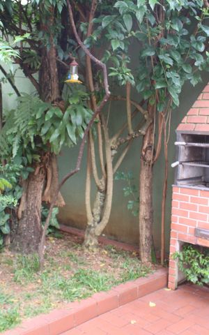 Casa à venda com 390m², 4 quartos e 6 vagasQuintal