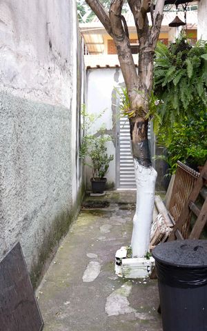 Casa para alugar com 212m², 4 quartos e 2 vagas Casa para alugar com 212m², 4 quartos e 2 vagasÁrea comum