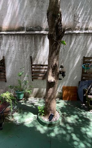 Apartamento à venda com 67m², 3 quartos e 1 vaga Apartamento à venda com 67m², 3 quartos e 1 vagaGardem