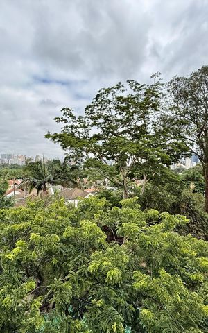 Apartamento à venda com 62m², 2 quartos e 1 vaga Apartamento à venda com 62m², 2 quartos e 1 vagaVista