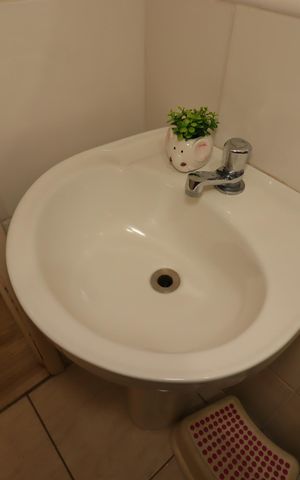 Apartamento à venda com 57m², 2 quartos e 1 vagaBanheiro Social - Pia