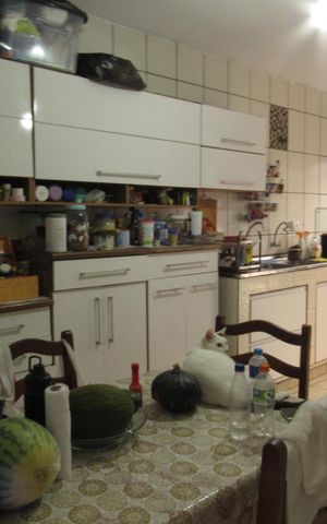Casa para alugar com 198m², 2 quartos e 2 vagasCozinha