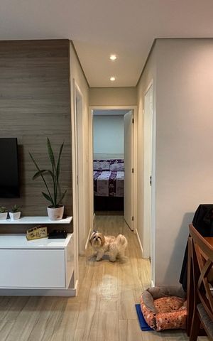 Apartamento à venda com 49m², 2 quartos e 1 vagaSala - Sala de Jantar