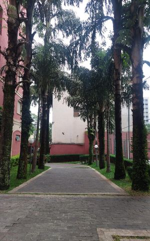 Apartamento à venda com 69m², 3 quartos e 1 vaga