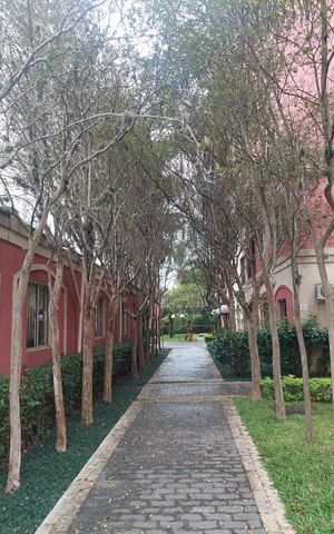 Apartamento à venda com 69m², 3 quartos e 1 vaga Apartamento à venda com 69m², 3 quartos e 1 vagaÁrea externa