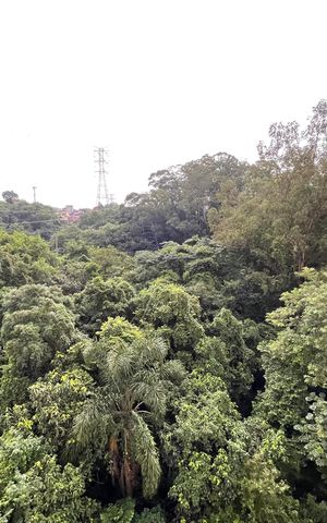 Apartamento à venda com 35m², 2 quartos e sem vaga Apartamento à venda com 35m², 2 quartos e sem vagaVista do Quarto 2