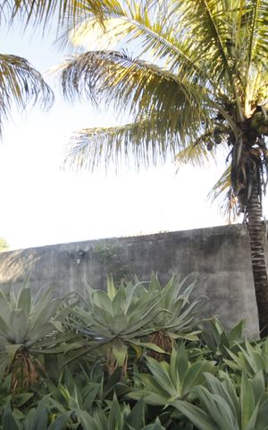 Casa à venda com 390m², 5 quartos e 6 vagasjardim
