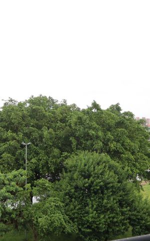 Apartamento para alugar com 42m², 1 quarto e sem vagaVista do Quarto