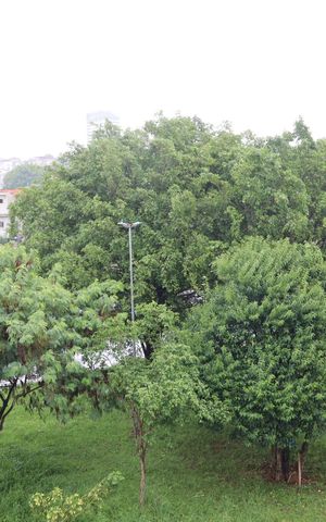 Apartamento para alugar com 42m², 1 quarto e sem vagaVista da Área de Serviço