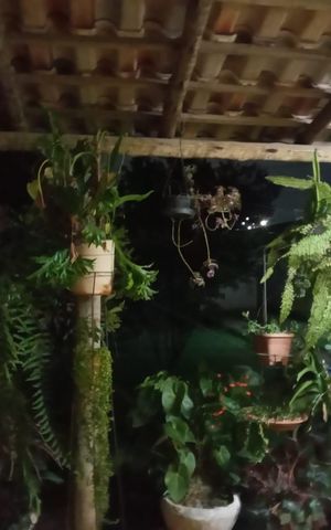 Casa à venda com 380m², 3 quartos e 5 vagasVaranda