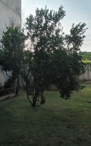 Casa à venda com 380m², 3 quartos e 5 vagasÁrea externa