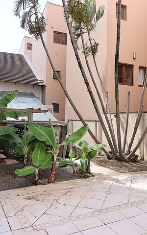 Casa para alugar com 185m², 3 quartos e 3 vagasQuintal