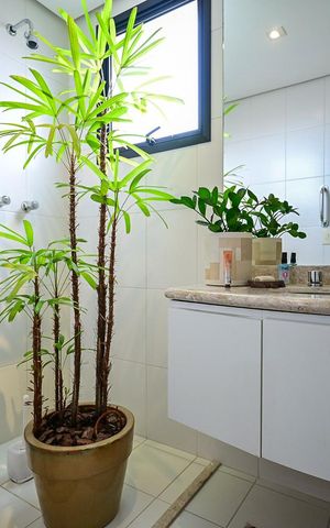Apartamento à venda com 195m², 4 quartos e 4 vagasBanheiro Suíte 1