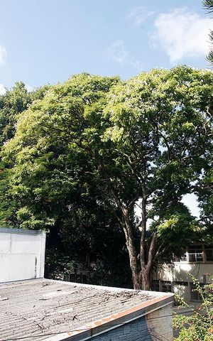 Casa à venda com 120m², 3 quartos e sem vagaÁrea de Serviço Vista