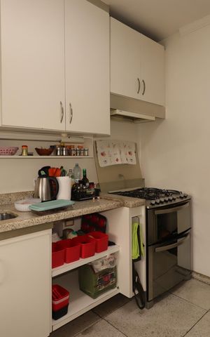 Apartamento à venda com 274m², 3 quartos e 3 vagasCozinha
