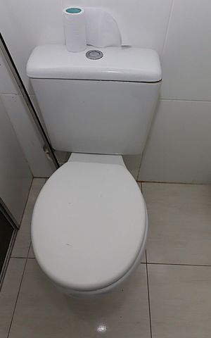 Apartamento à venda com 55m², 2 quartos e sem vagaBanheiro 