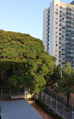 Apartamento à venda com 55m², 2 quartos e sem vagaVista da Sala
