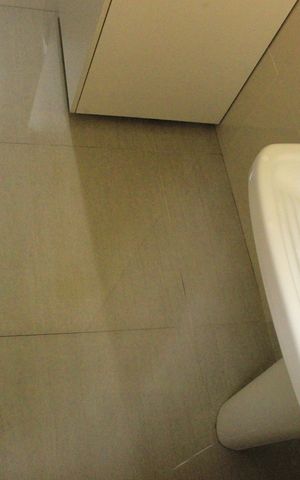 Apartamento à venda com 55m², 2 quartos e 1 vagaLavanderia