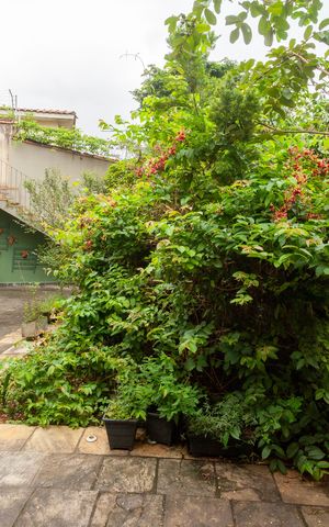 Casa à venda com 336m², 3 quartos e 4 vagasQuintal