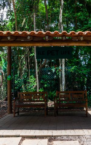 Apartamento à venda com 95m², 3 quartos e 2 vagas