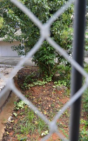 Apartamento para alugar com 38m², 1 quarto e sem vagaQuarto 1