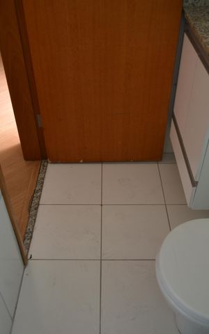 Apartamento à venda com 76m², 2 quartos e 1 vagaBanheiro da Suíte