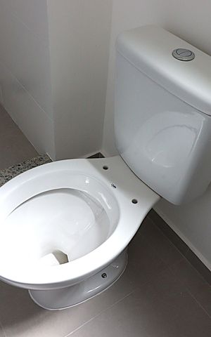 Apartamento à venda com 80m², 2 quartos e 1 vagaBanheiro da Suíte 1