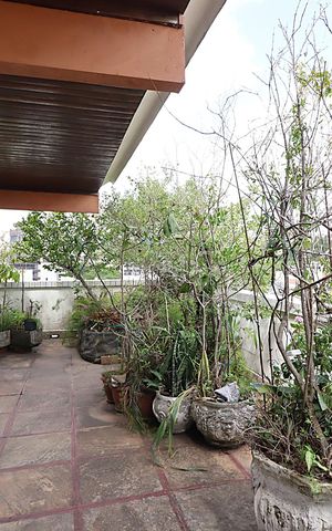 Apartamento para alugar com 224m², 2 quartos e 2 vagasTerraço 