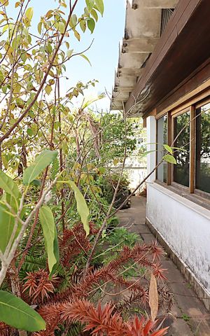 Apartamento para alugar com 224m², 2 quartos e 2 vagasTerraço 