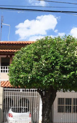 Casa para alugar com 280m², 4 quartos e 3 vagasfa
