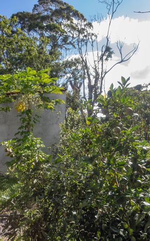 Casa à venda com 225m², 3 quartos e 5 vagas Casa à venda com 225m², 3 quartos e 5 vagasQuintal