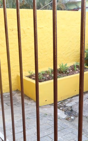 Casa para alugar com 215m², 3 quartos e 2 vagasFachada e portão
