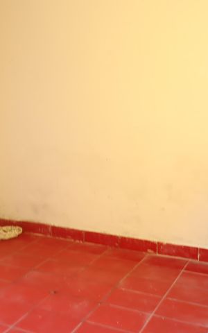 Casa para alugar com 215m², 3 quartos e 2 vagasQuarto serviço 2