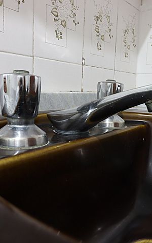 Apartamento à venda com 90m², 2 quartos e 1 vagaBanheira da Suíte - Torneira