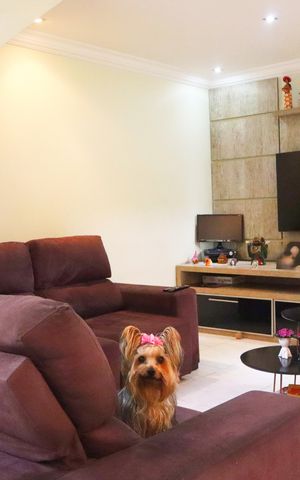 Casa à venda com 261m², 4 quartos e 2 vagasSala