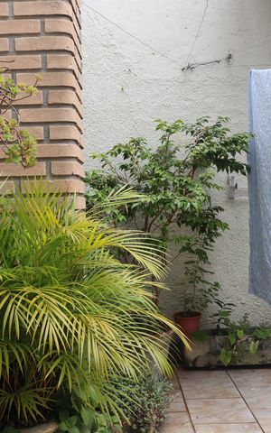 Casa à venda com 261m², 4 quartos e 2 vagasVaranda da  Suíte 3