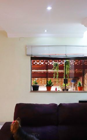 Casa à venda com 261m², 4 quartos e 2 vagasSala