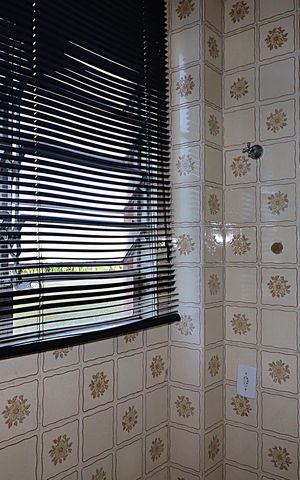 Studio à venda com 52m², 1 quarto e sem vagaCozinha