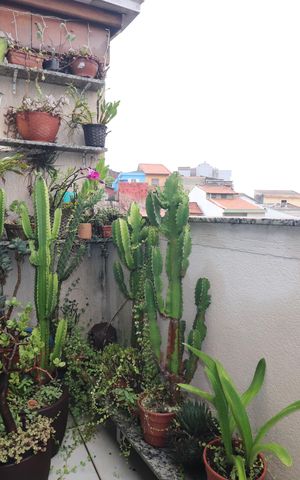 Apartamento à venda com 94m², 2 quartos e 1 vagaVaranda Cobertura