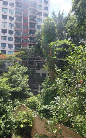 Apartamento à venda com 45m², 2 quartos e 1 vagaSala - Vista