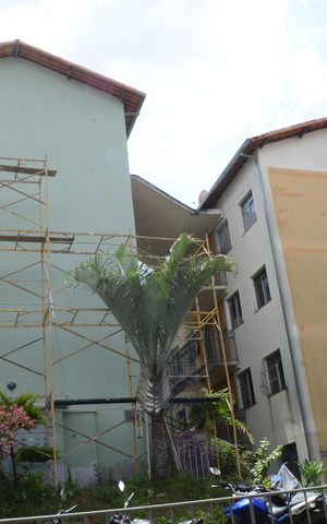 Apartamento à venda com 50m², 2 quartos e 1 vagaFachada do bloco